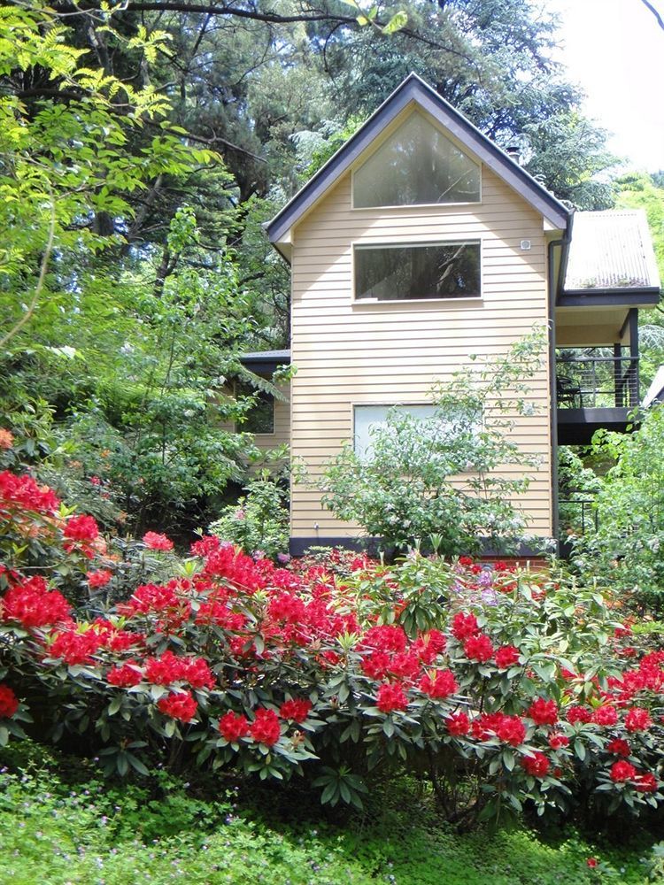 Lochiel Luxury Accommodation Olinda Extérieur photo