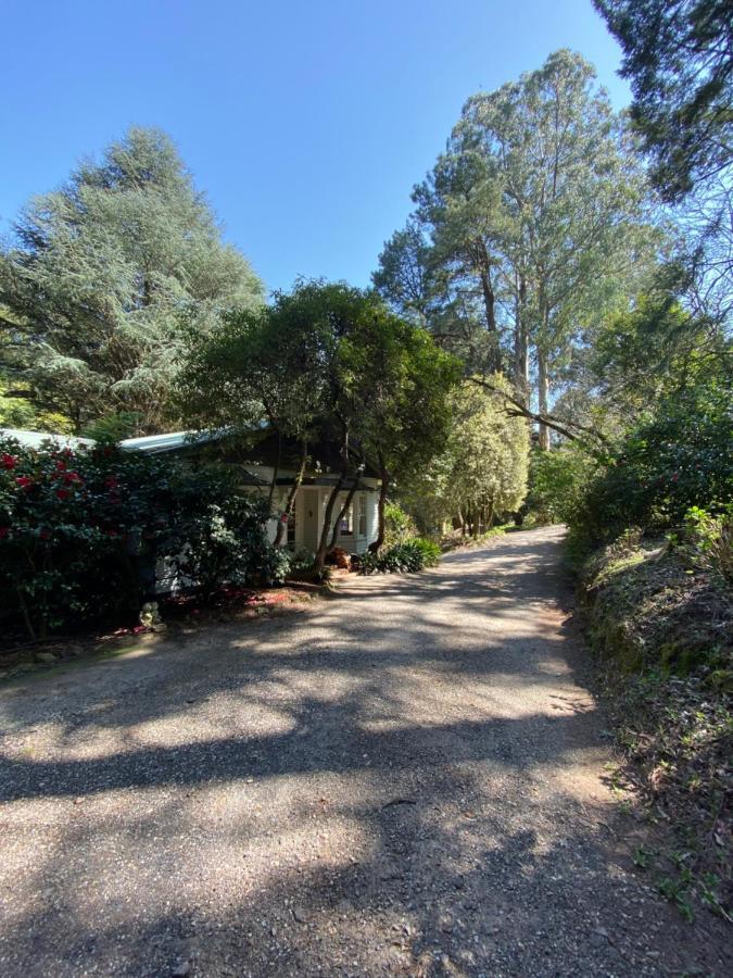 Lochiel Luxury Accommodation Olinda Extérieur photo