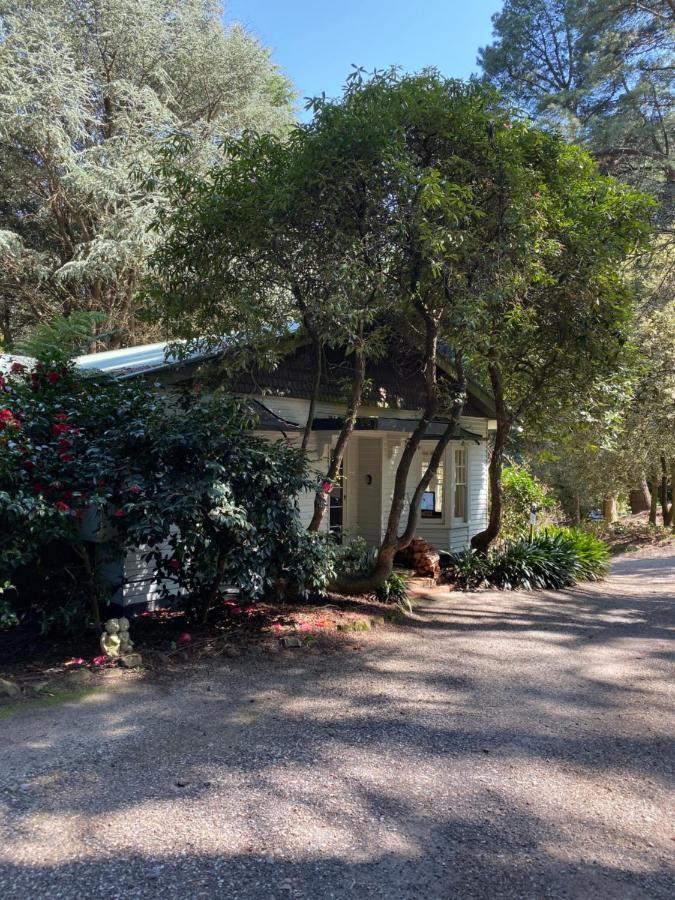 Lochiel Luxury Accommodation Olinda Extérieur photo