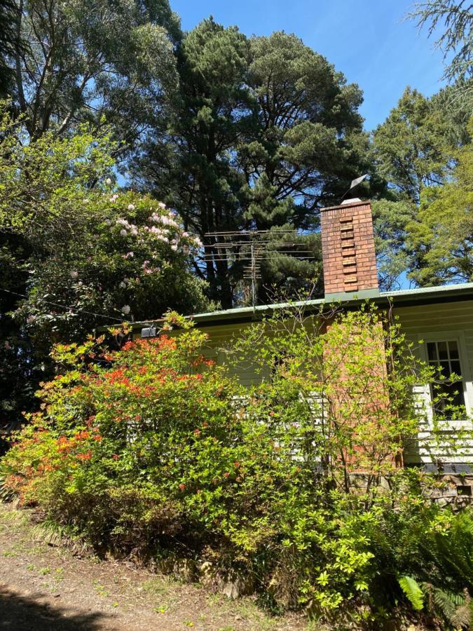 Lochiel Luxury Accommodation Olinda Extérieur photo
